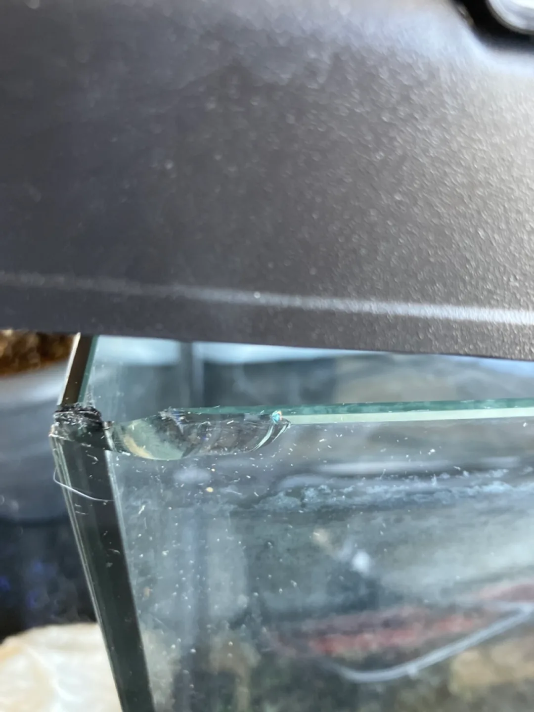 Marina 10 Gallon Aquarium Kit with Lights and lightbulbs image indicator(2)