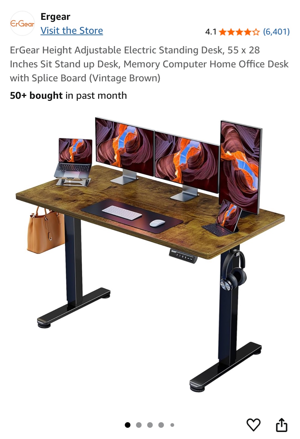 ErGear Electric Standing Desk