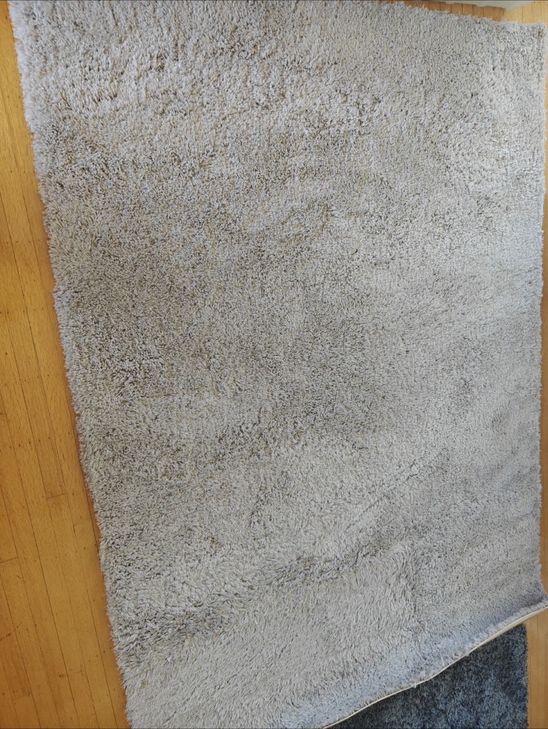 Carpet Art Deco Dakota Shag Rug