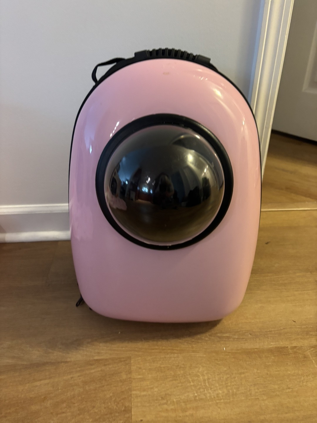 Pink Pet Carrier Backpack
