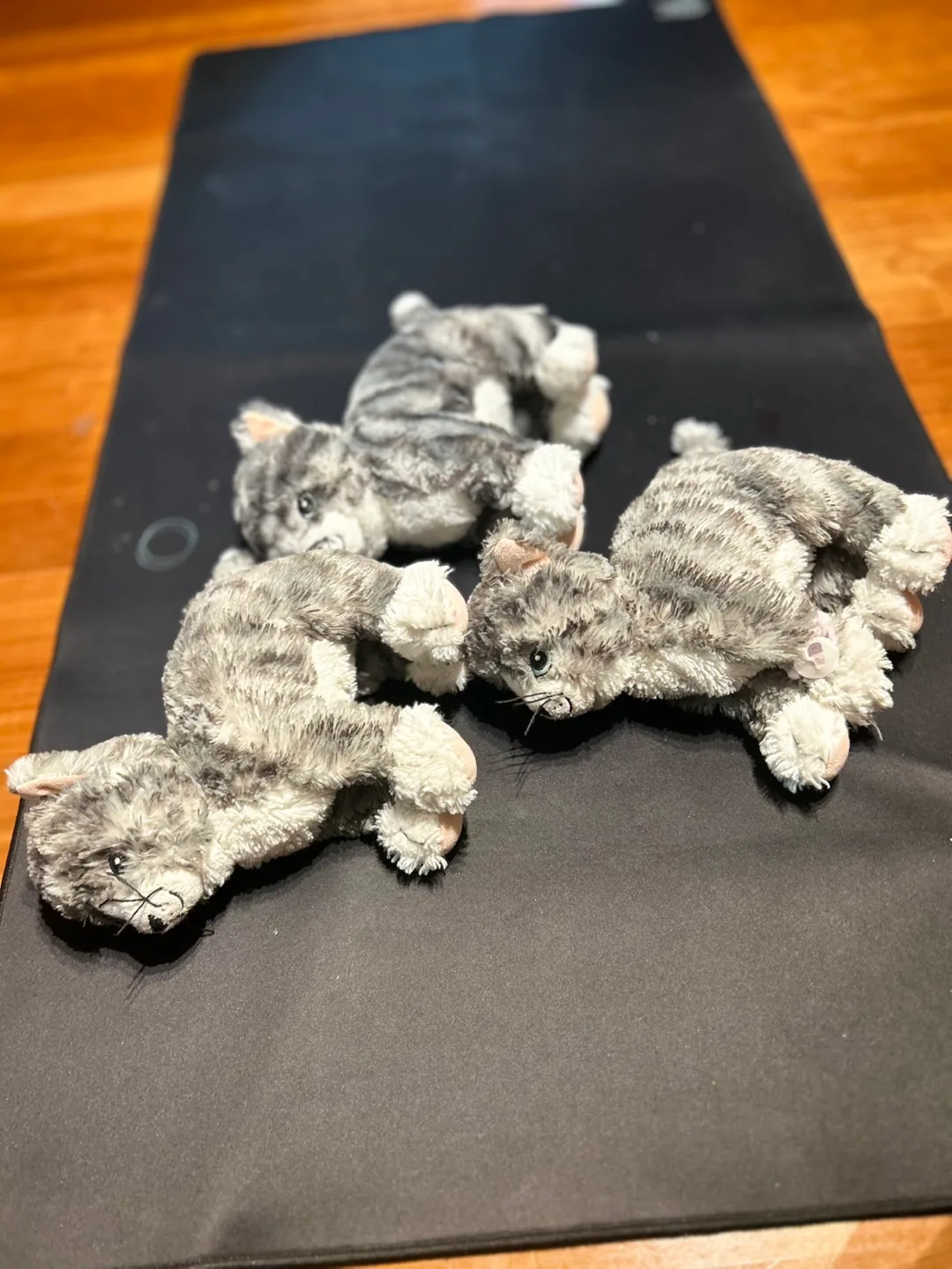 Three Grey Kitten Plush Toys image indicator(3)