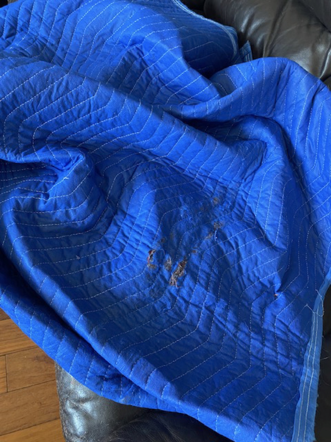 Used Moving Blanket🧡 - photo 2