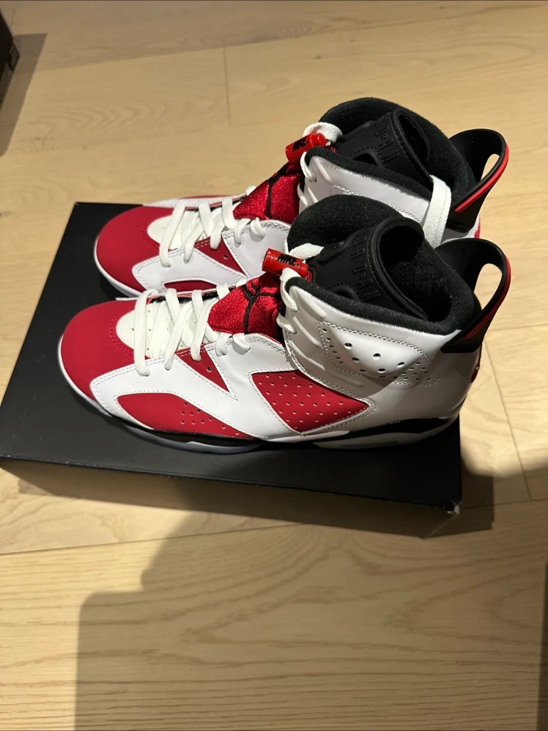 Air Jordan 6 Retro Carmine Size 10 image indicator(5)