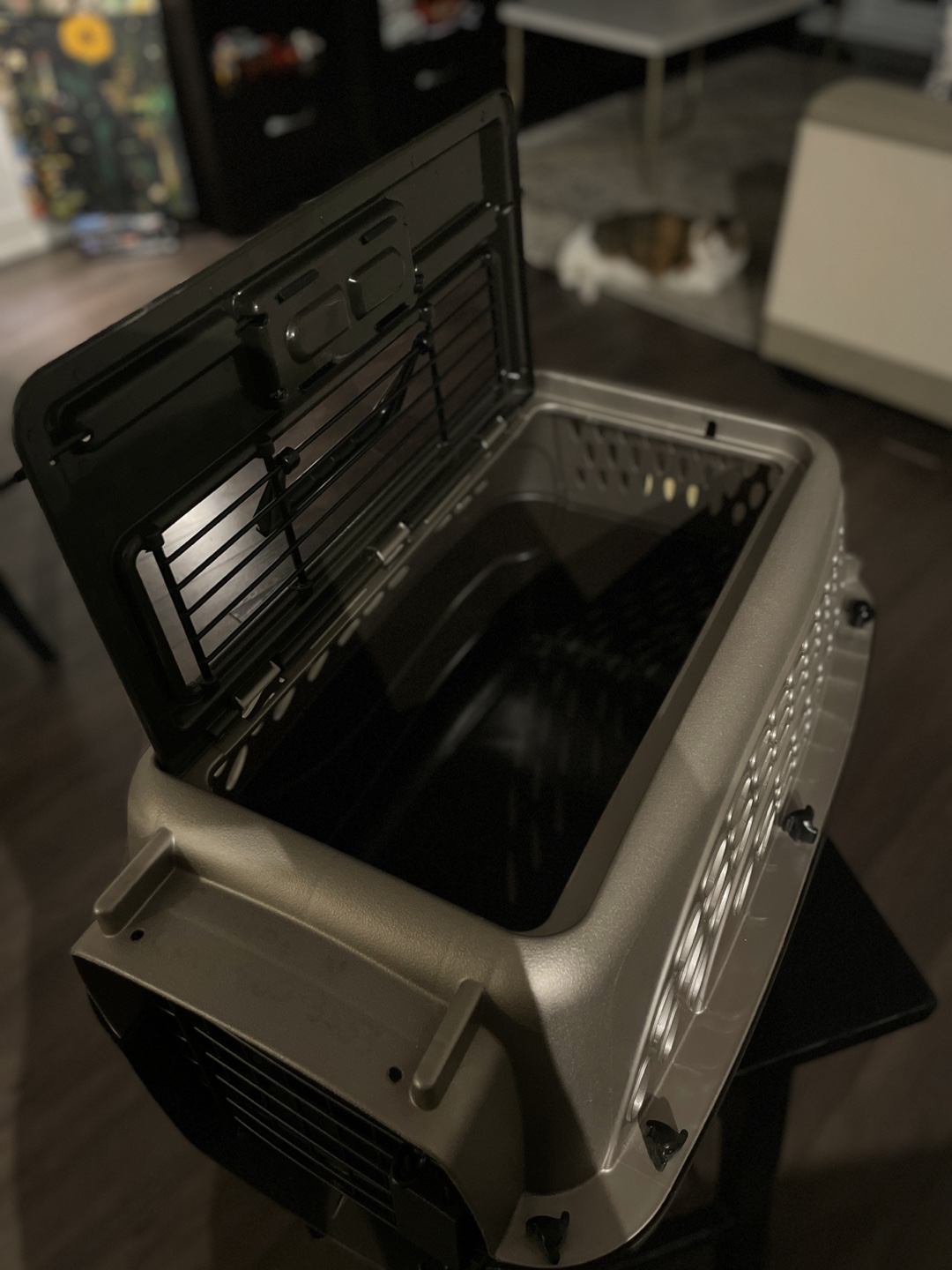 Pet Carrier - Excellent Condition - photo 3