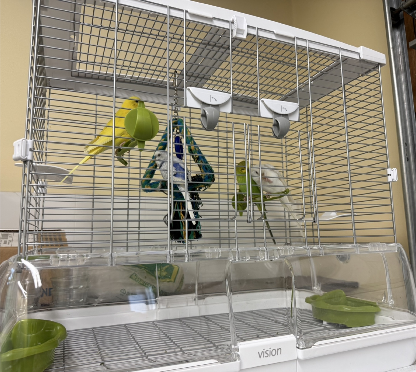 Vision Bird Cage - Olive - M01