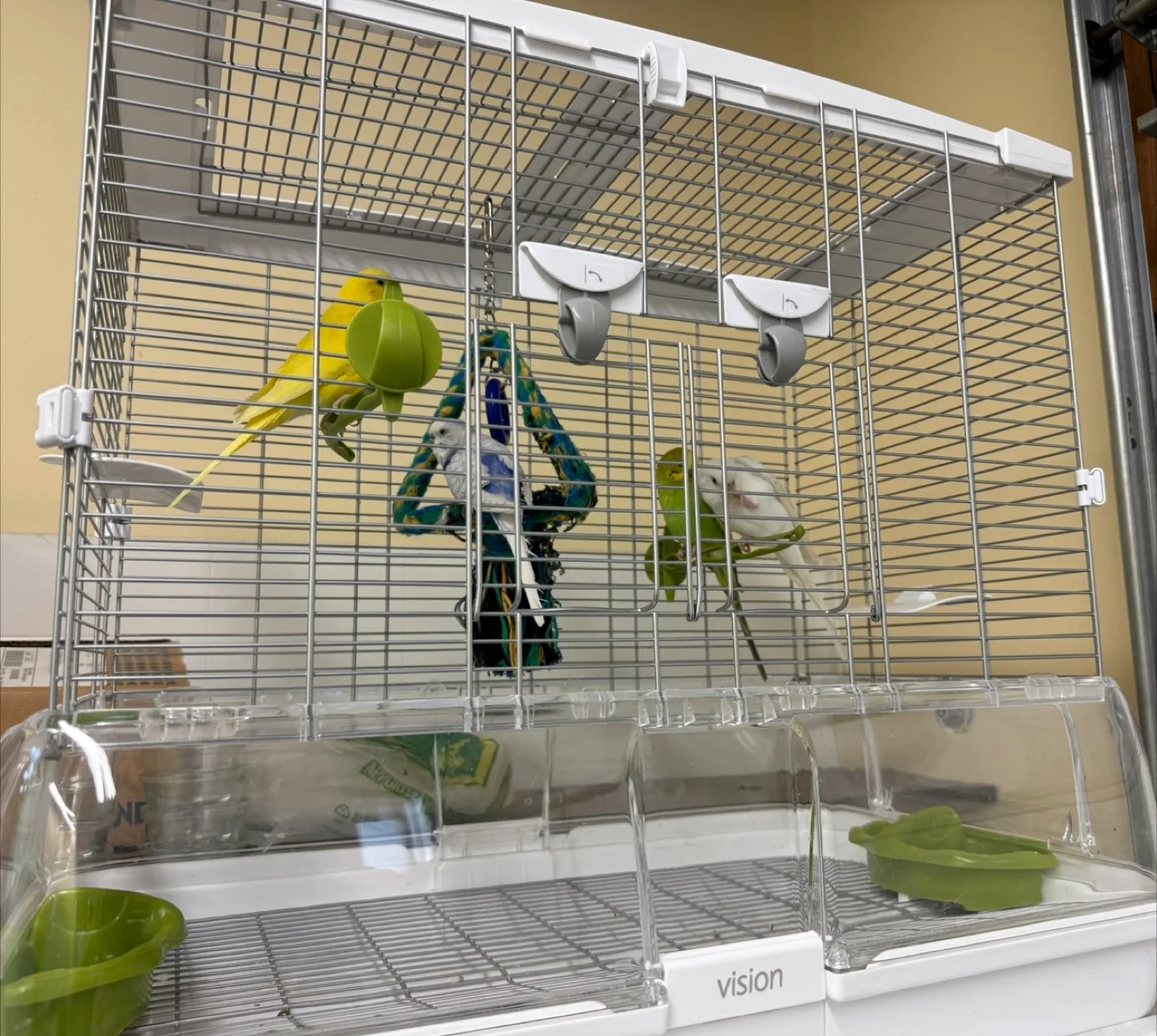 Vision Bird Cage - Olive - M01 thumbnail