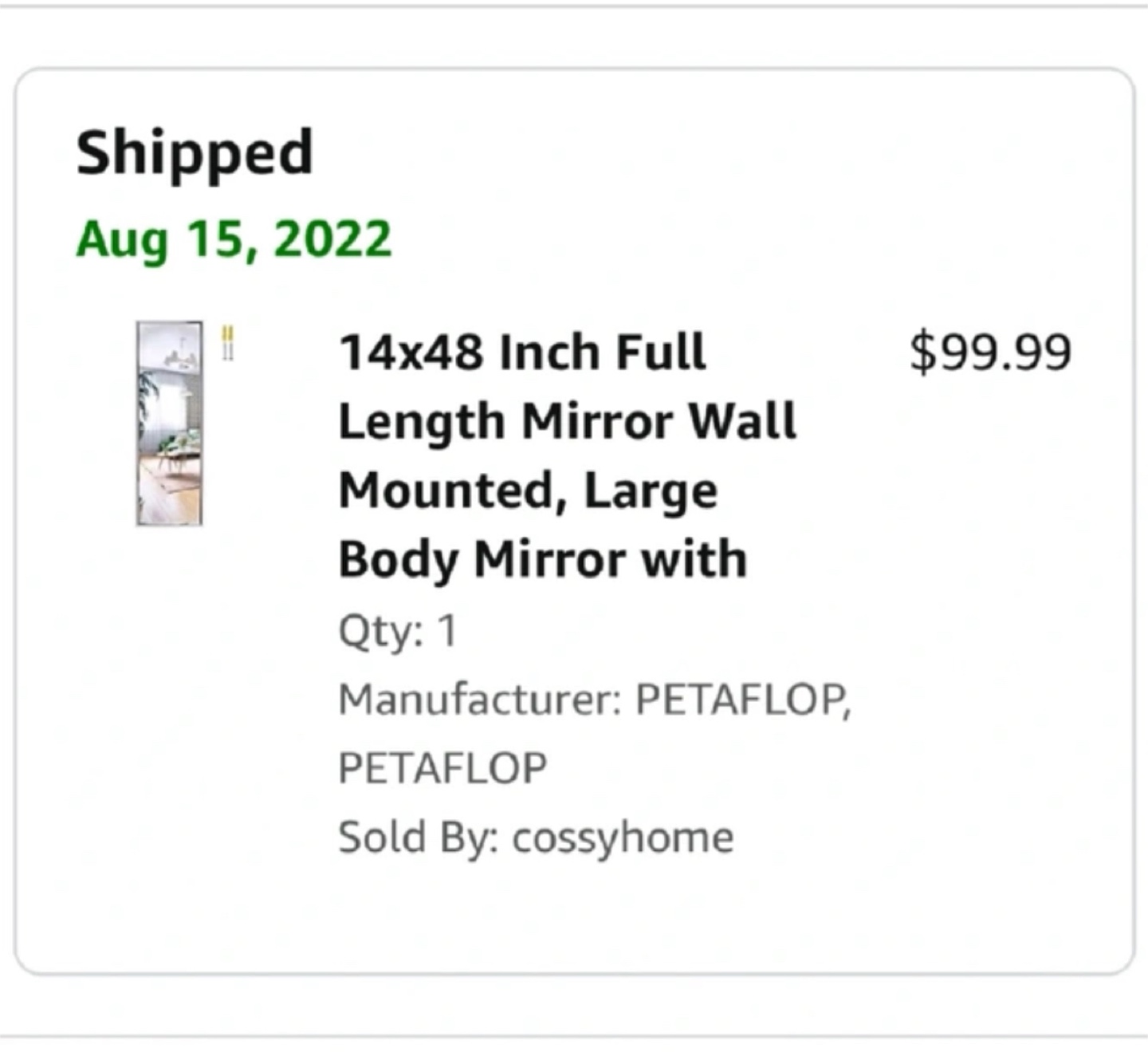 14x48 Inch Full Length Mirror - photo 2