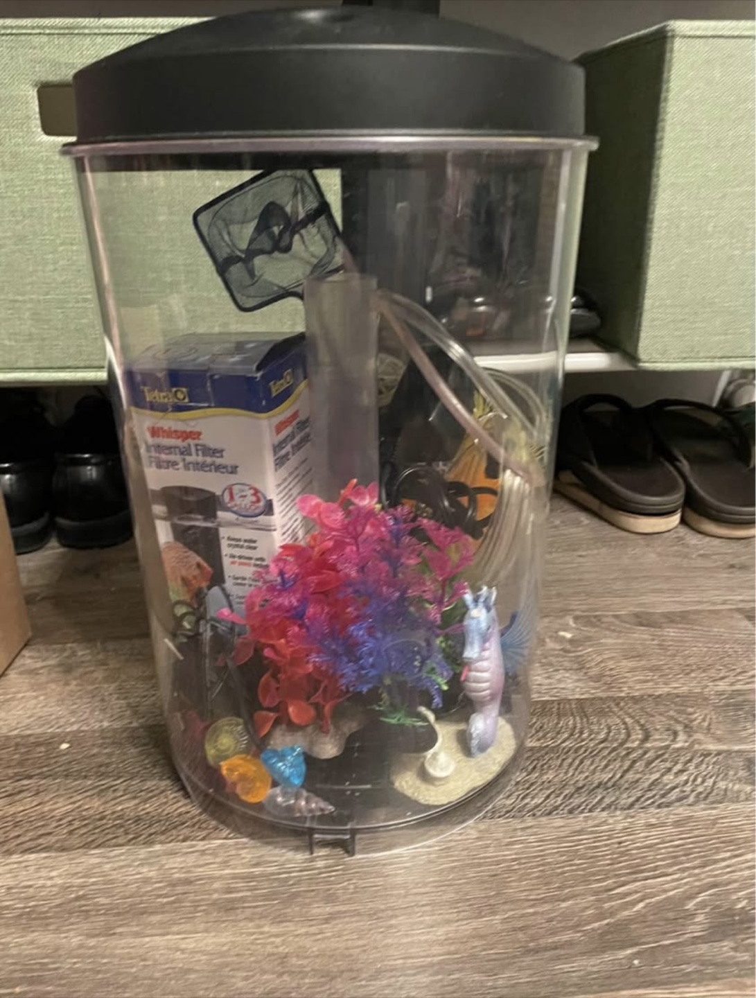 3 Gallon Beginner Aquarium