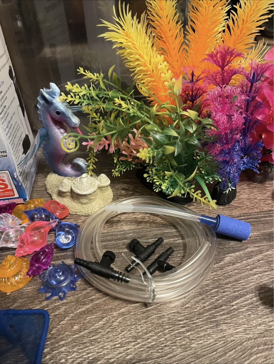 3 Gallon Beginner Aquarium - photo 4