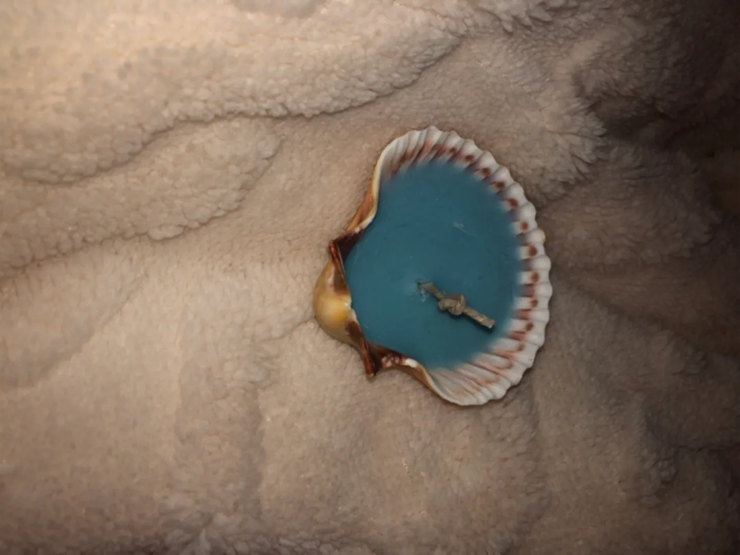Seashell candle from the Bahamas🏖️ thumbnail