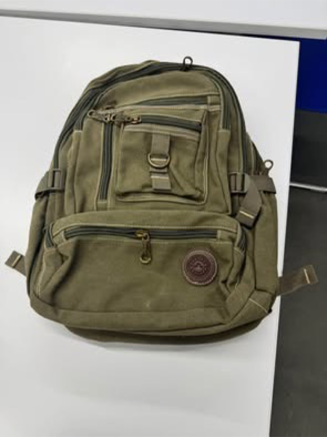 Olive Green Canvas Backpack