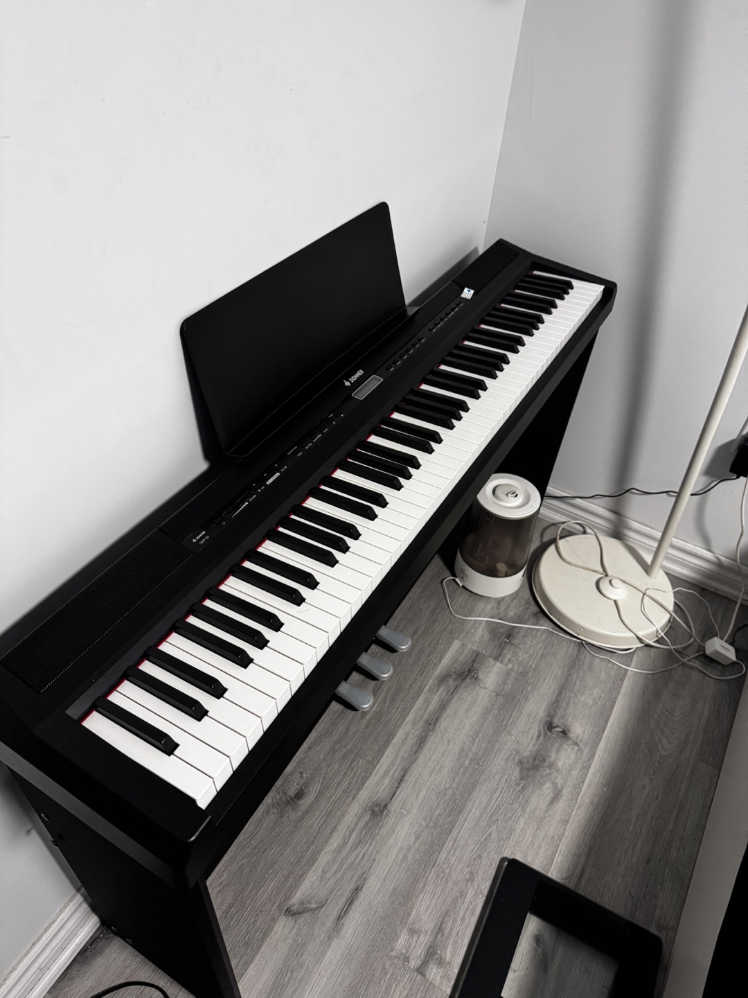 Donner DEP-20 Beginner Digital Piano 88 Key.