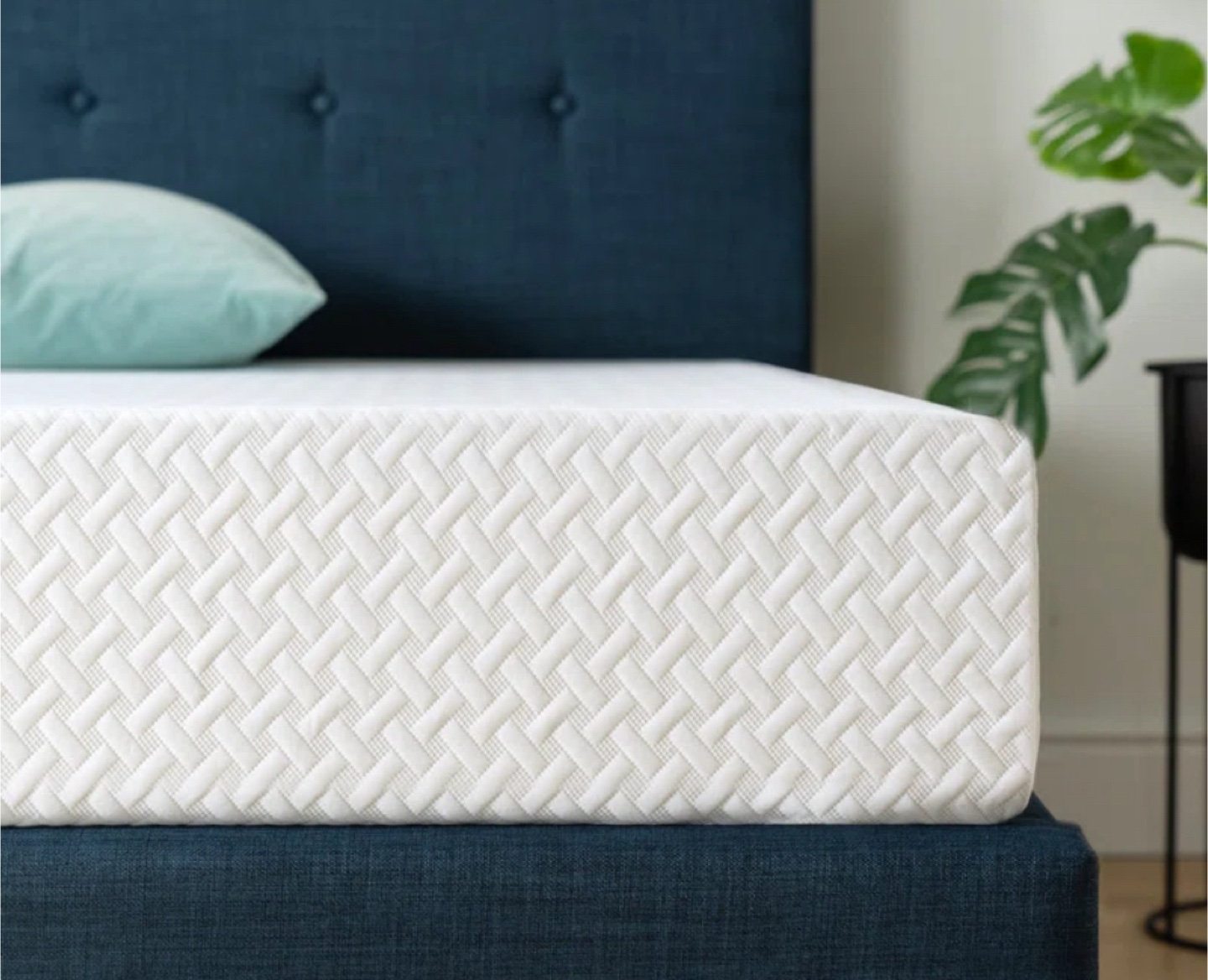 Twin Daybed and Mattress