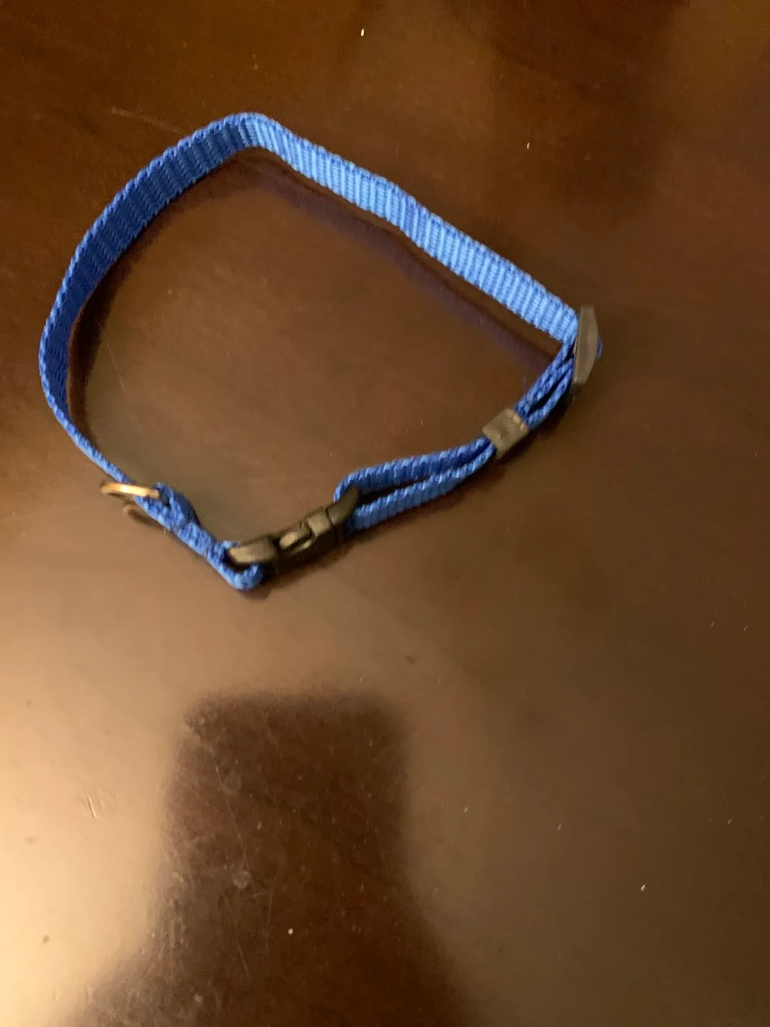 Small Blue Dog Collar thumbnail