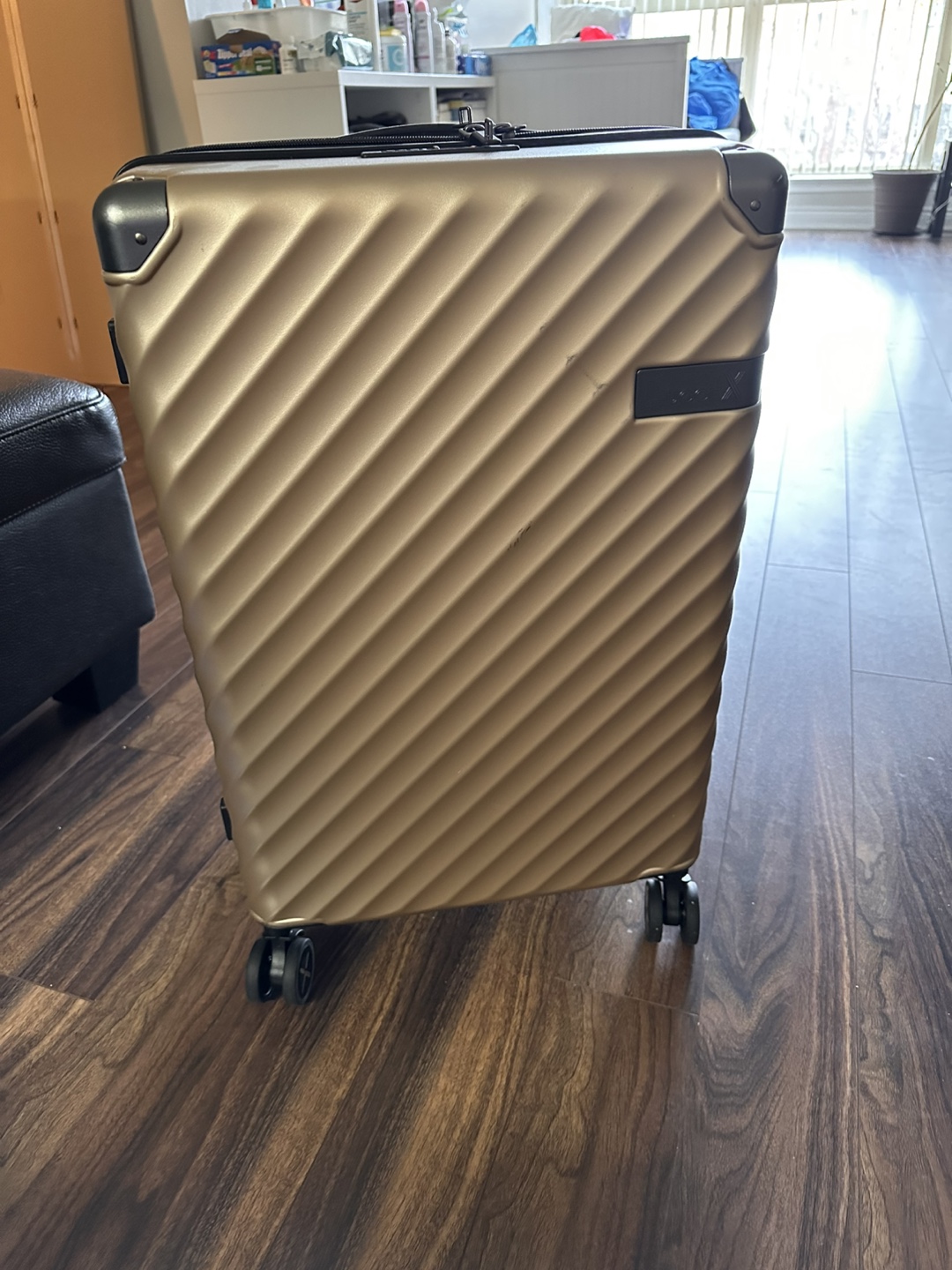 Luggex 22 Inch Luggage