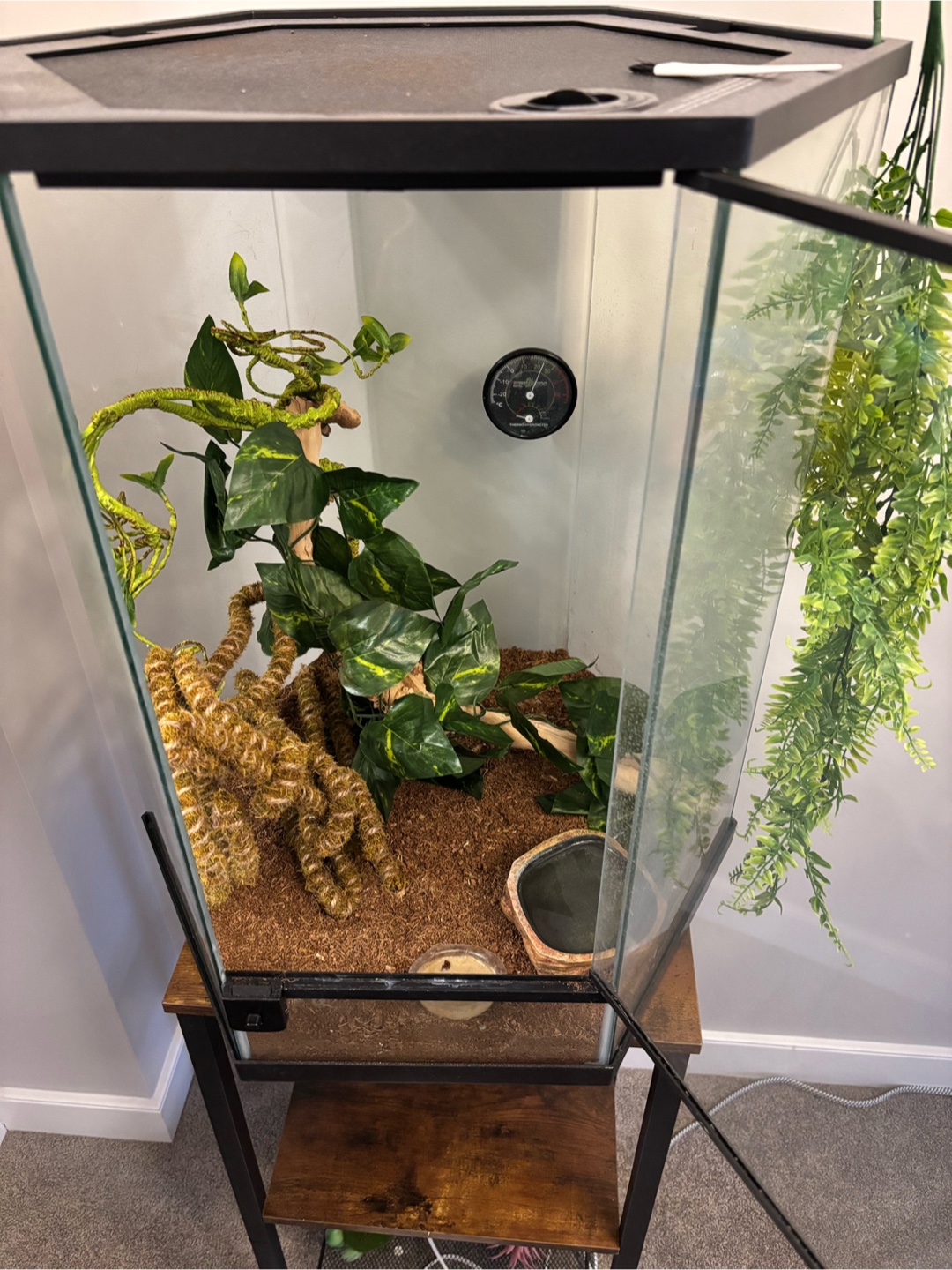Reptile Terrarium / Tank / Enclosure