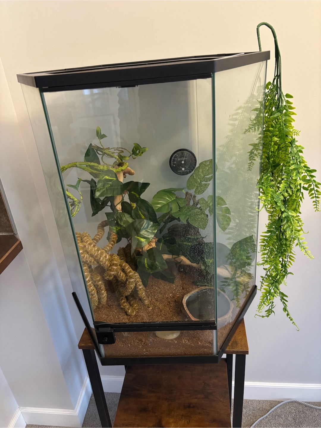 Reptile Terrarium / Tank / Enclosure - photo 2