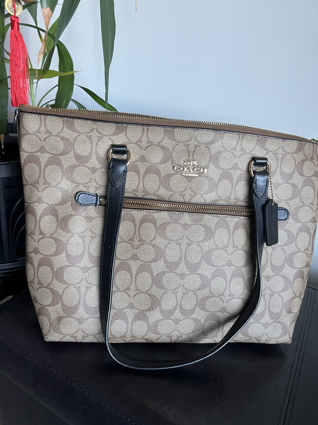 Coach Tote Bag - Signature Canvas