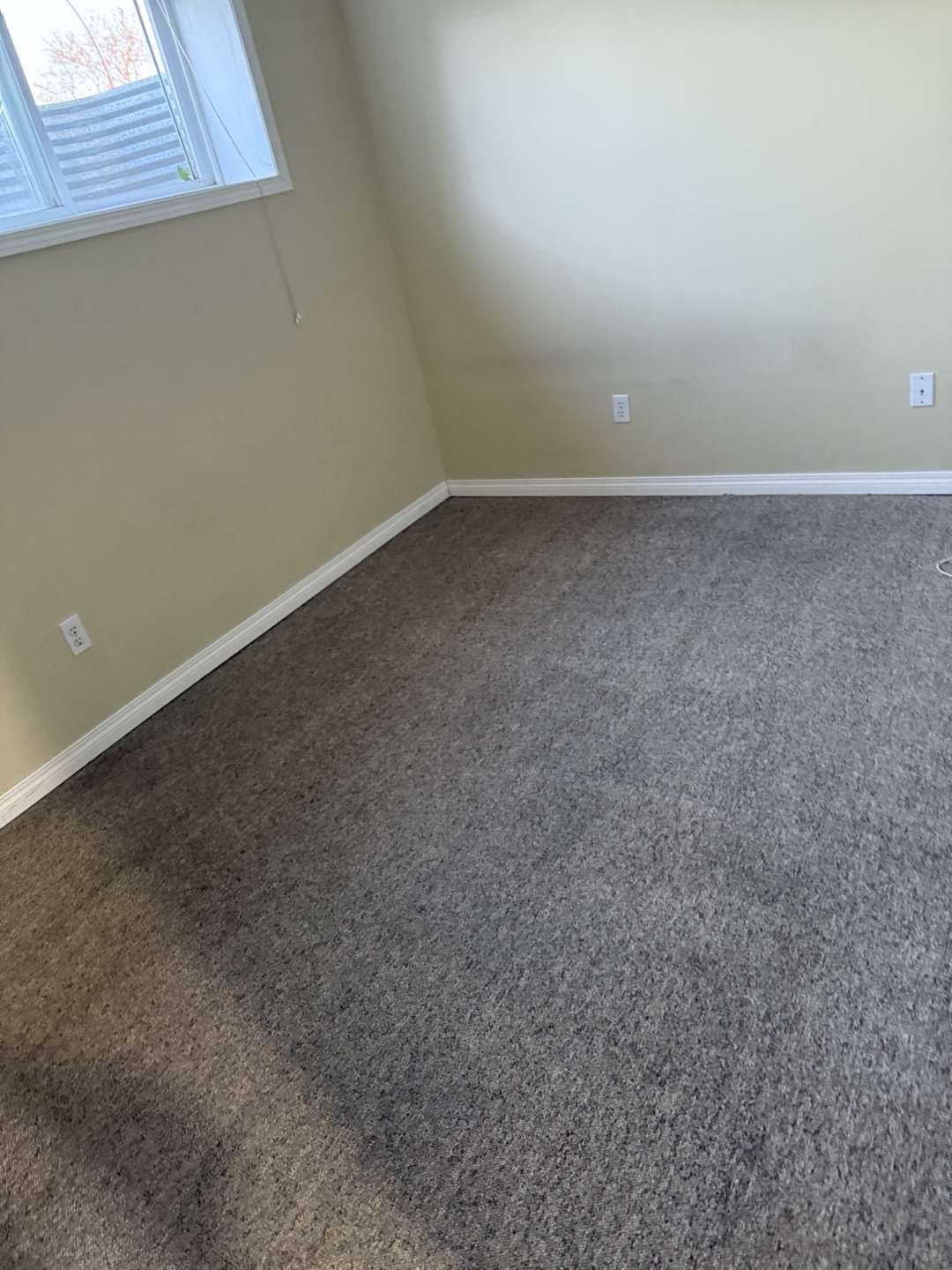 Cleaning services - photo 3