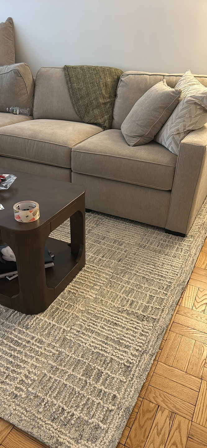 Modern Gray and White Area Rug 8x10