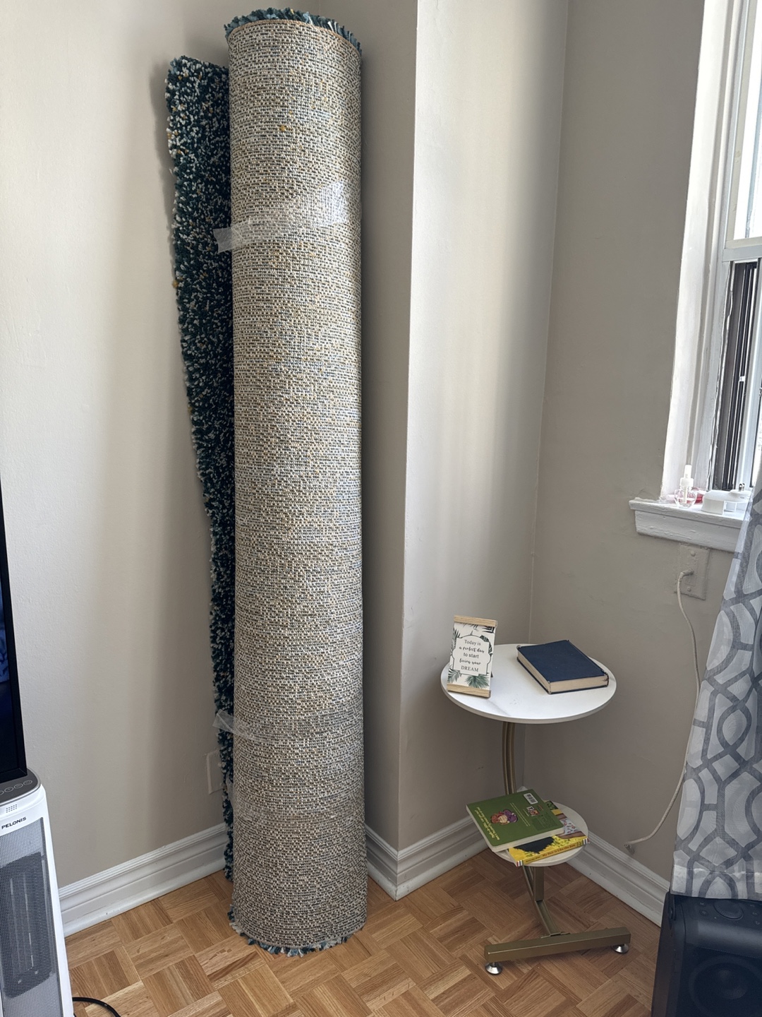 Unused Teal and Beige Shag Rug