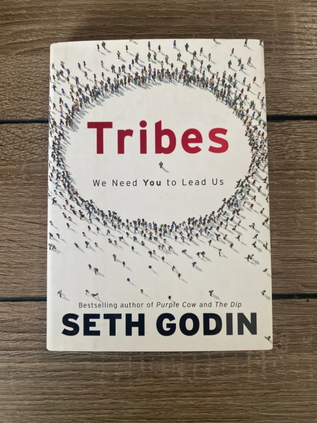 Tribes: We Need You to Lead Us by Seth Godin thumbnail