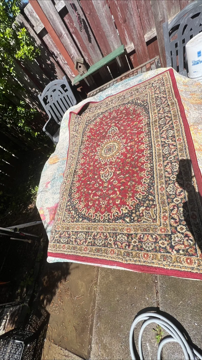 Red and Black Oriental Rug thumbnail