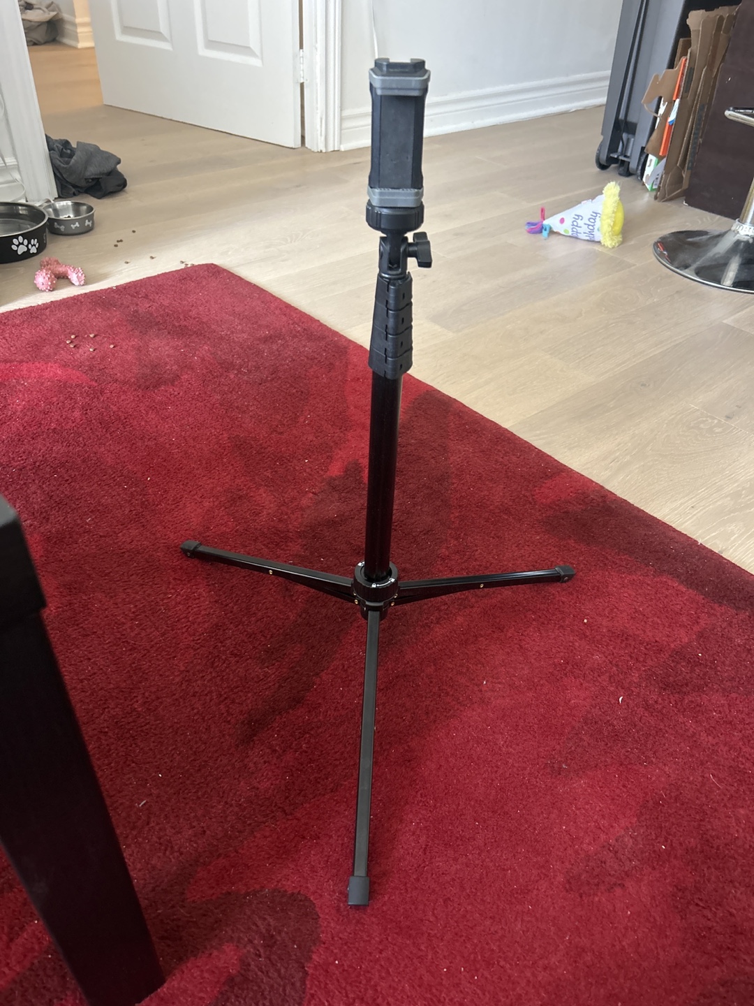 Phone Tripod Stand 62”