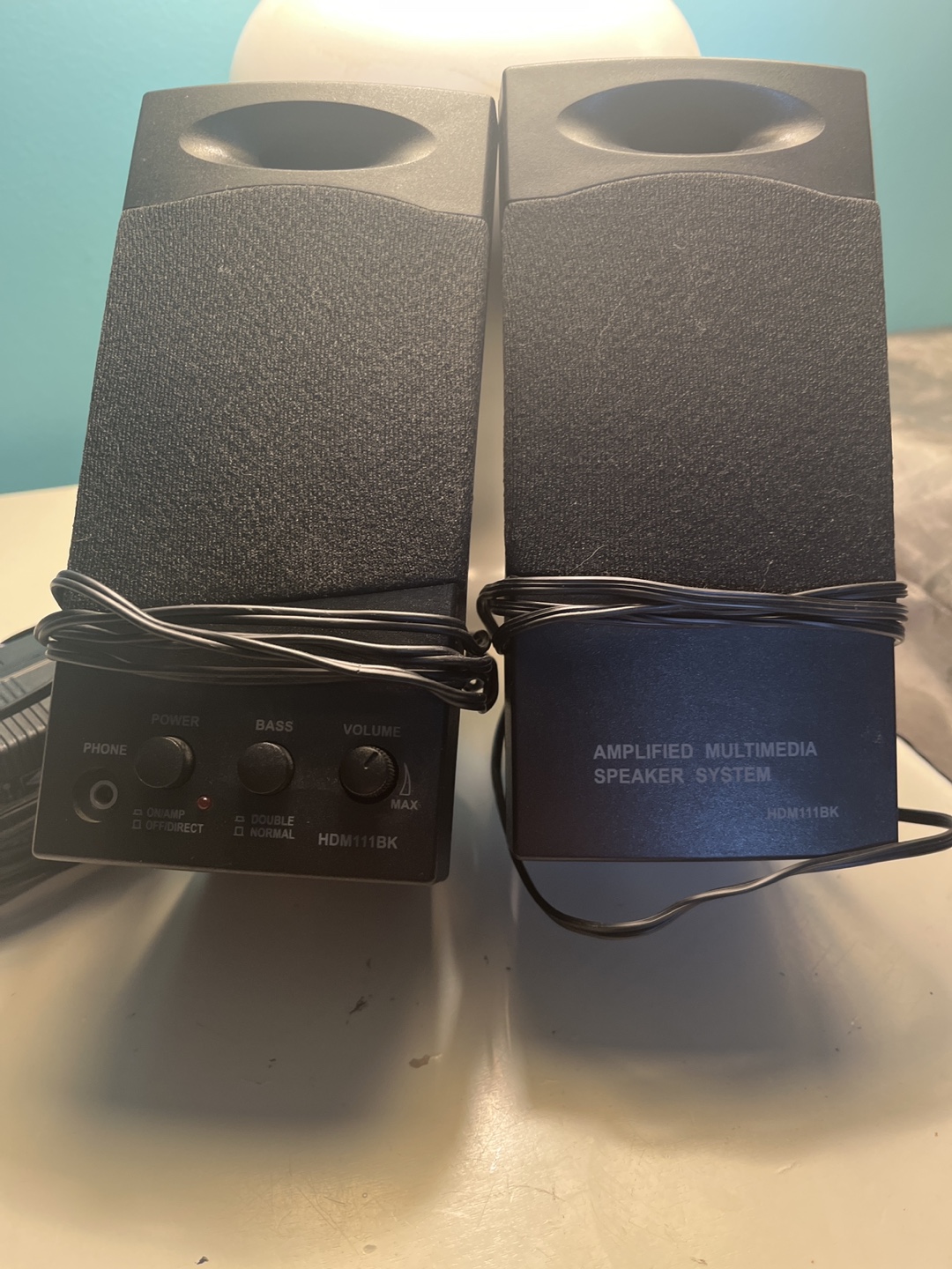 Amplified multimedia Speaker System