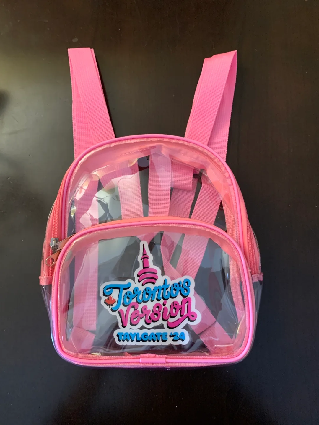 Taylor Swift Clear Pink Mini Backpack Toronto Version thumbnail