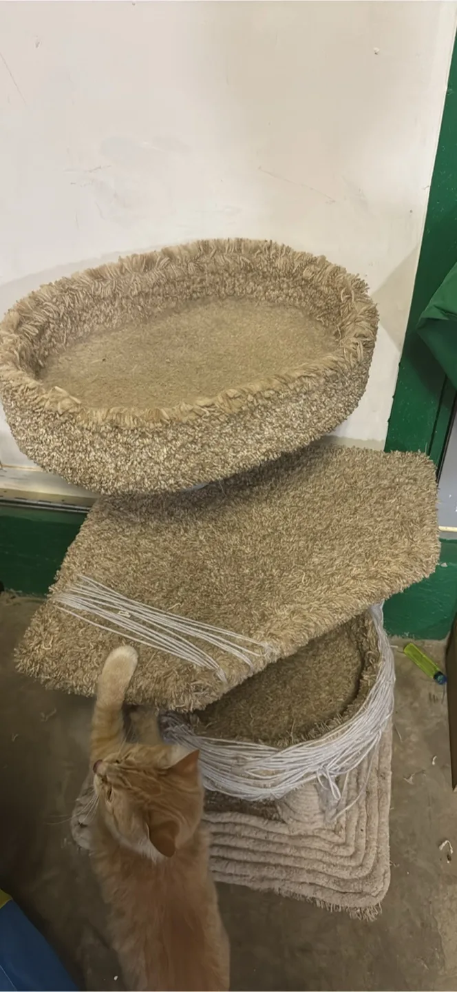 Cat Tree Condo image indicator(2)