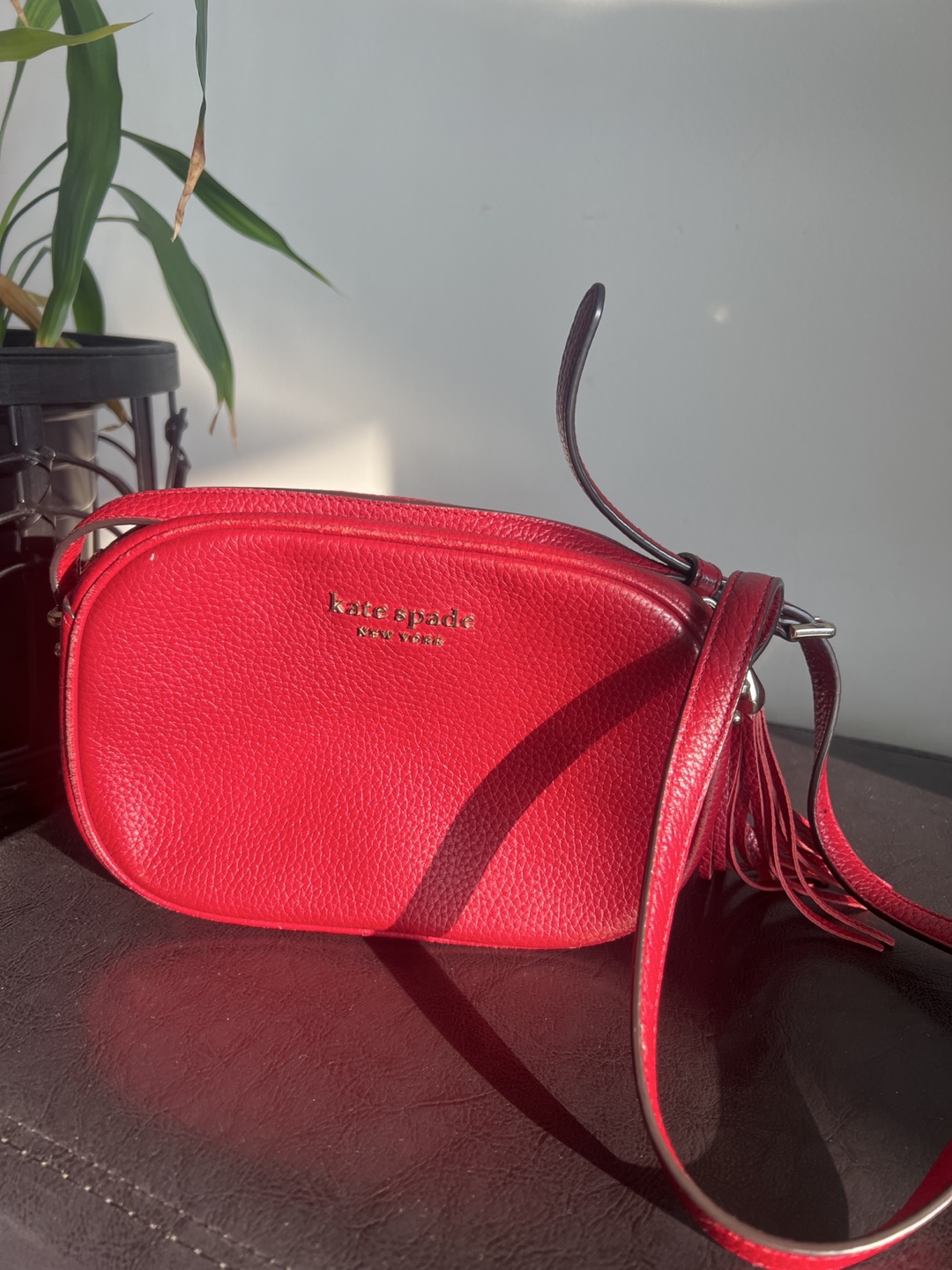 Kate Spade Red Crossbody Bag
