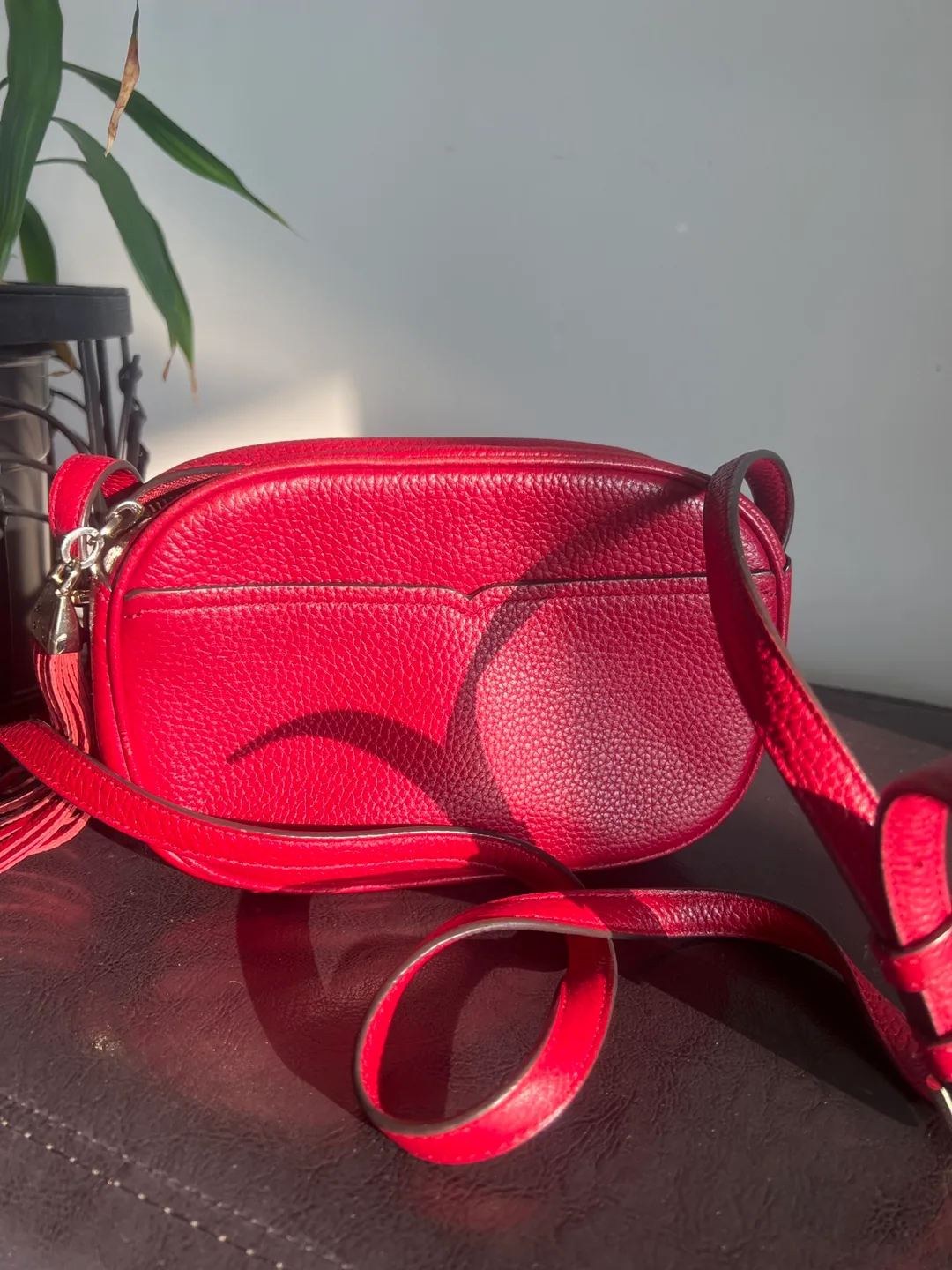 Kate Spade Red Crossbody Bag image indicator(2)