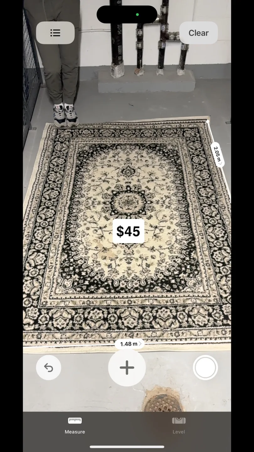 Large Black and Cream Oriental Rug thumbnail