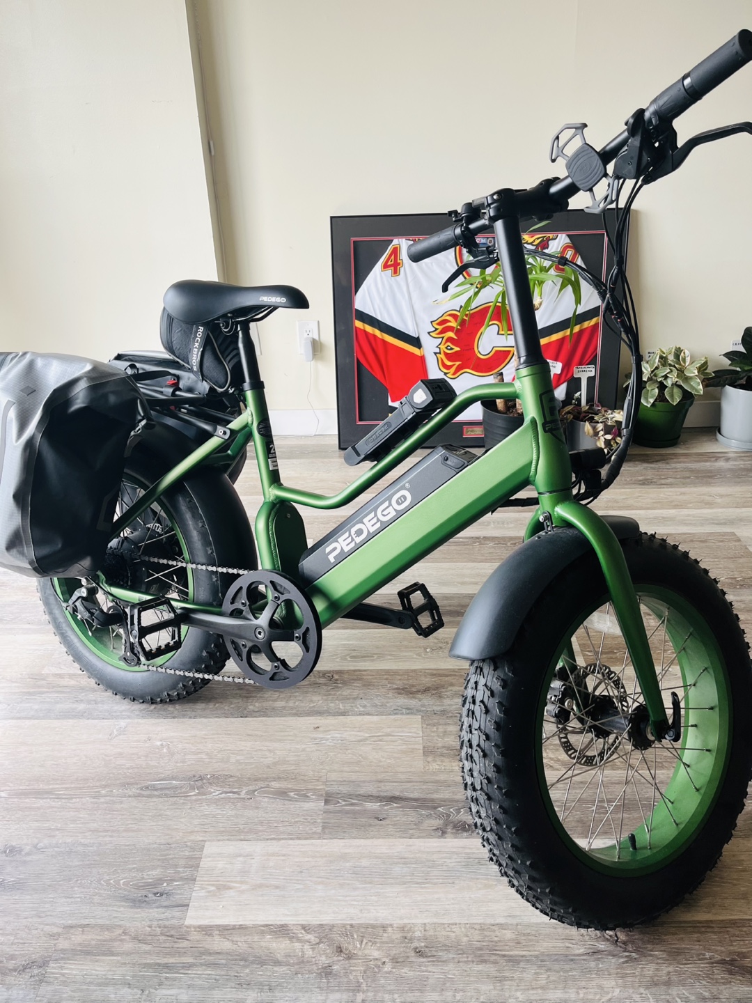Pedego Element Class 2 Electric Bike –Like New! With accessories - photo 3