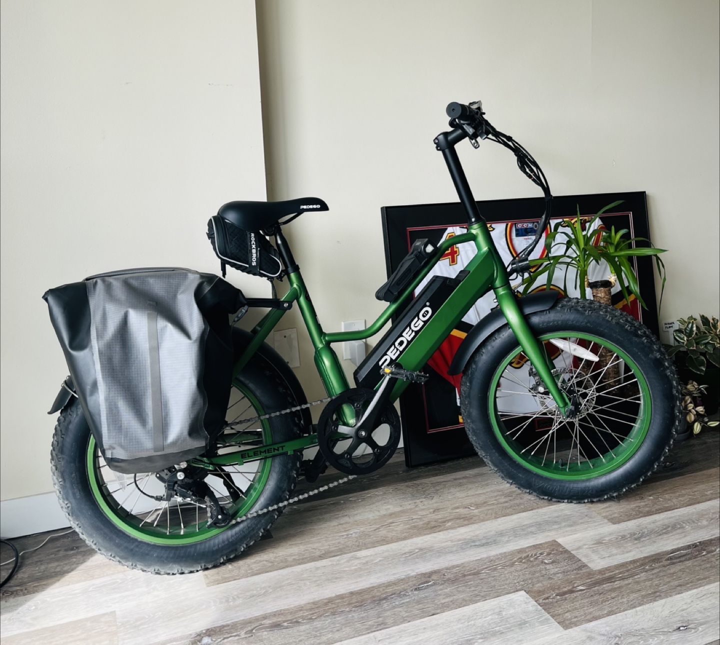 Pedego Element Class 2 Electric Bike –Like New! With accessories