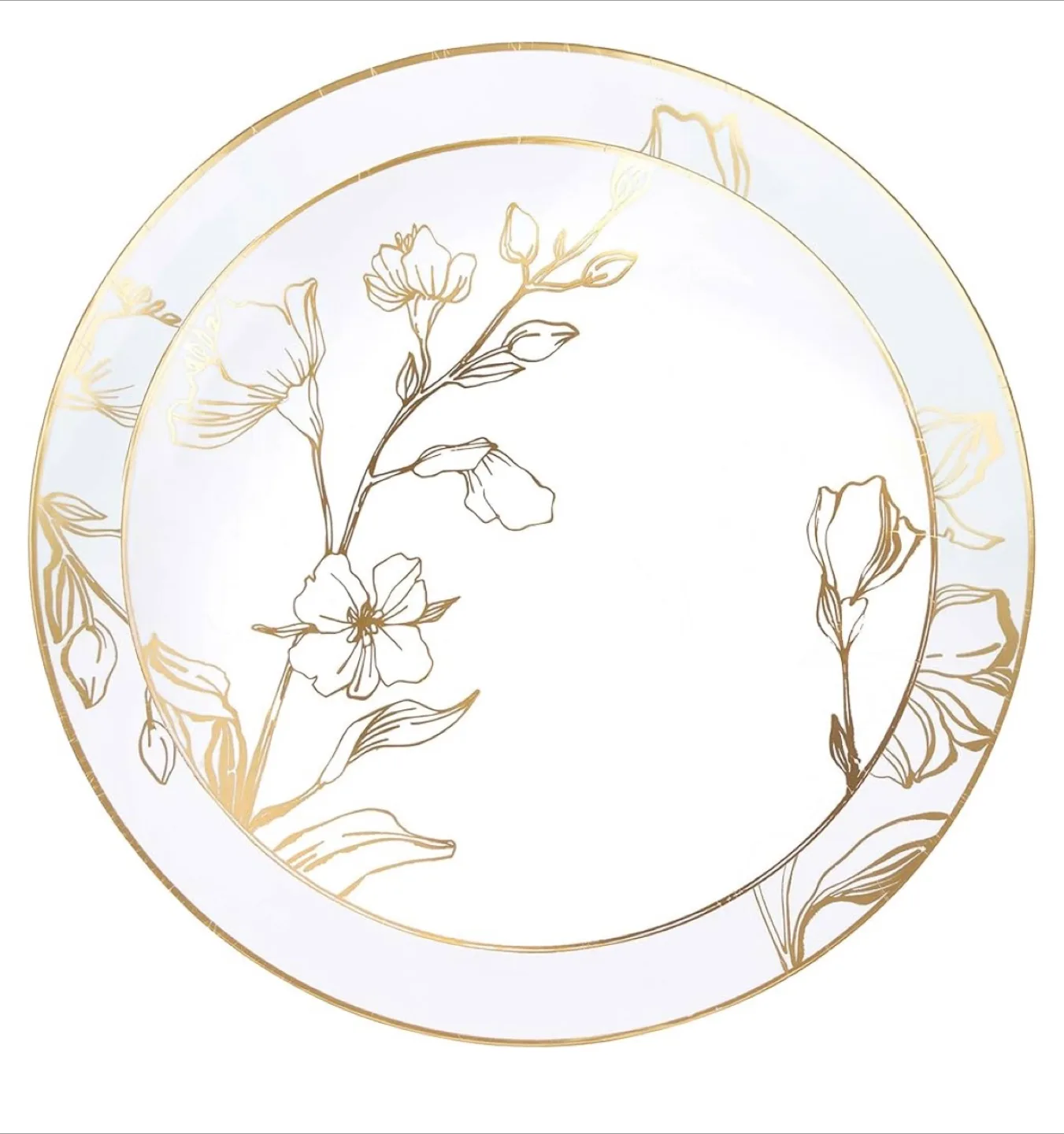 Rent-plastic plates thumbnail