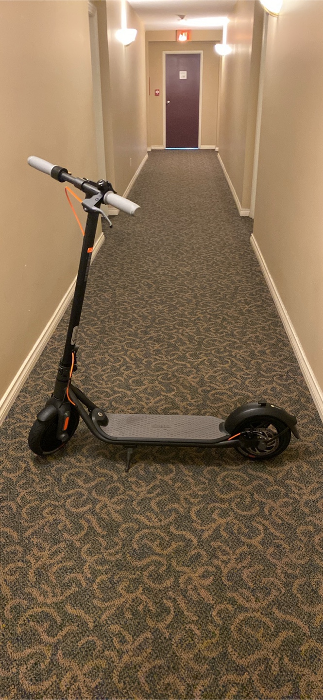 Ninebot f30
