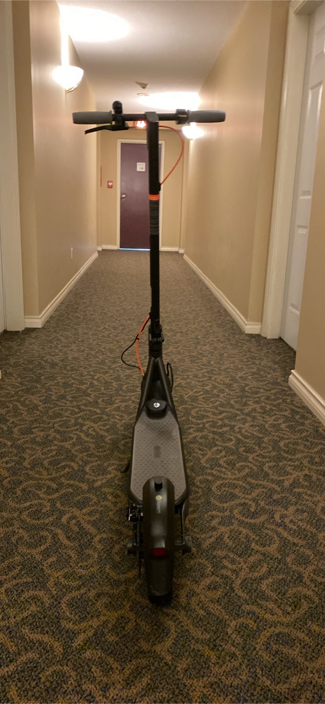 Ninebot f30 - photo 2