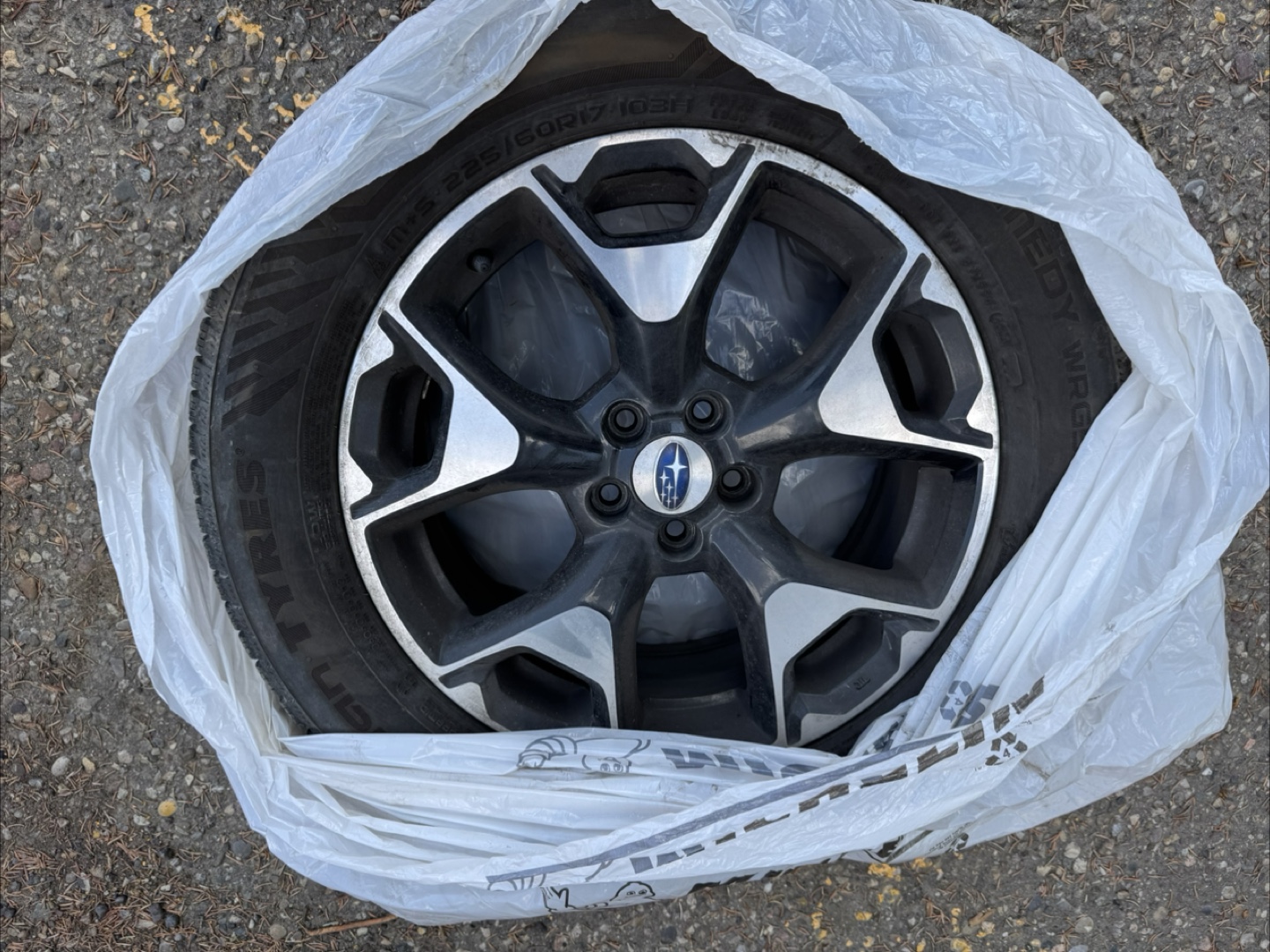 Subaru alloy rim and tire assembly