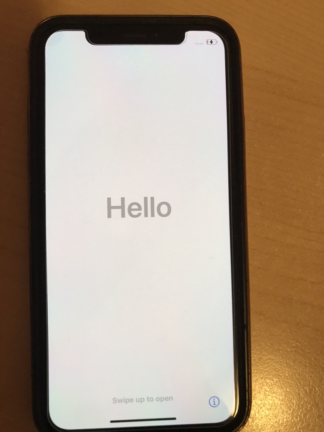 iPhone X with Case
