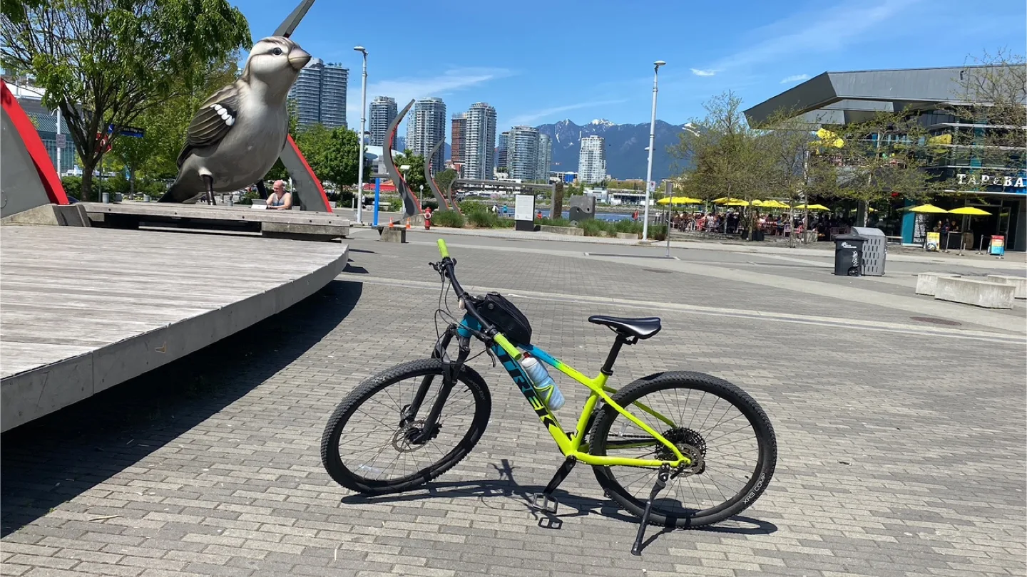 Trek X-Caliber 9 MTB image indicator(2)