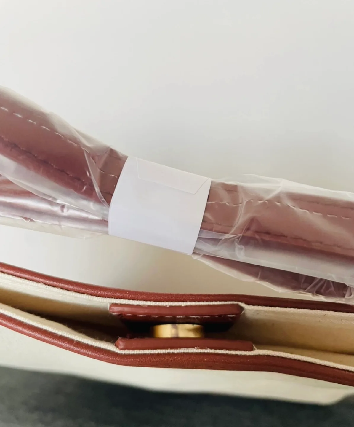 Chantecaille Beige and Brown Crossbody Bag image indicator(2)