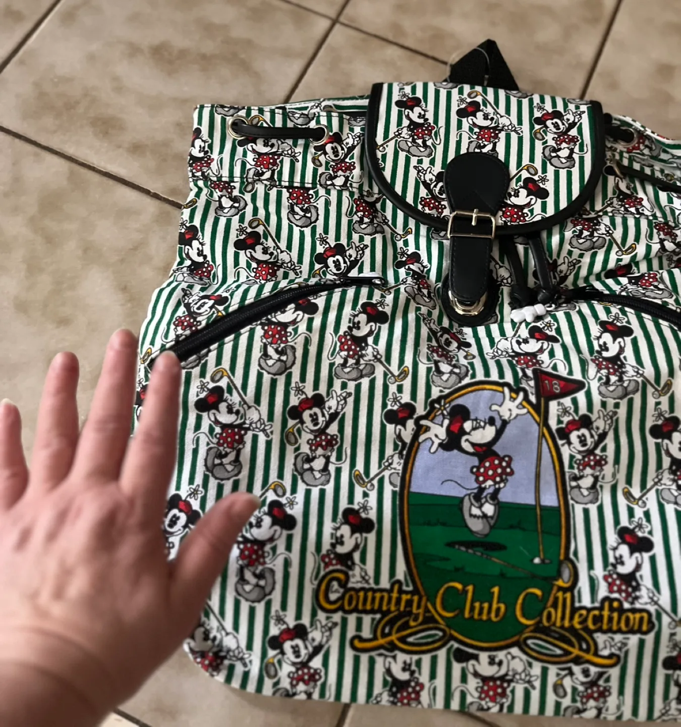 Vintage Mickey Minnie Mouse Backpack - NEW image indicator(2)