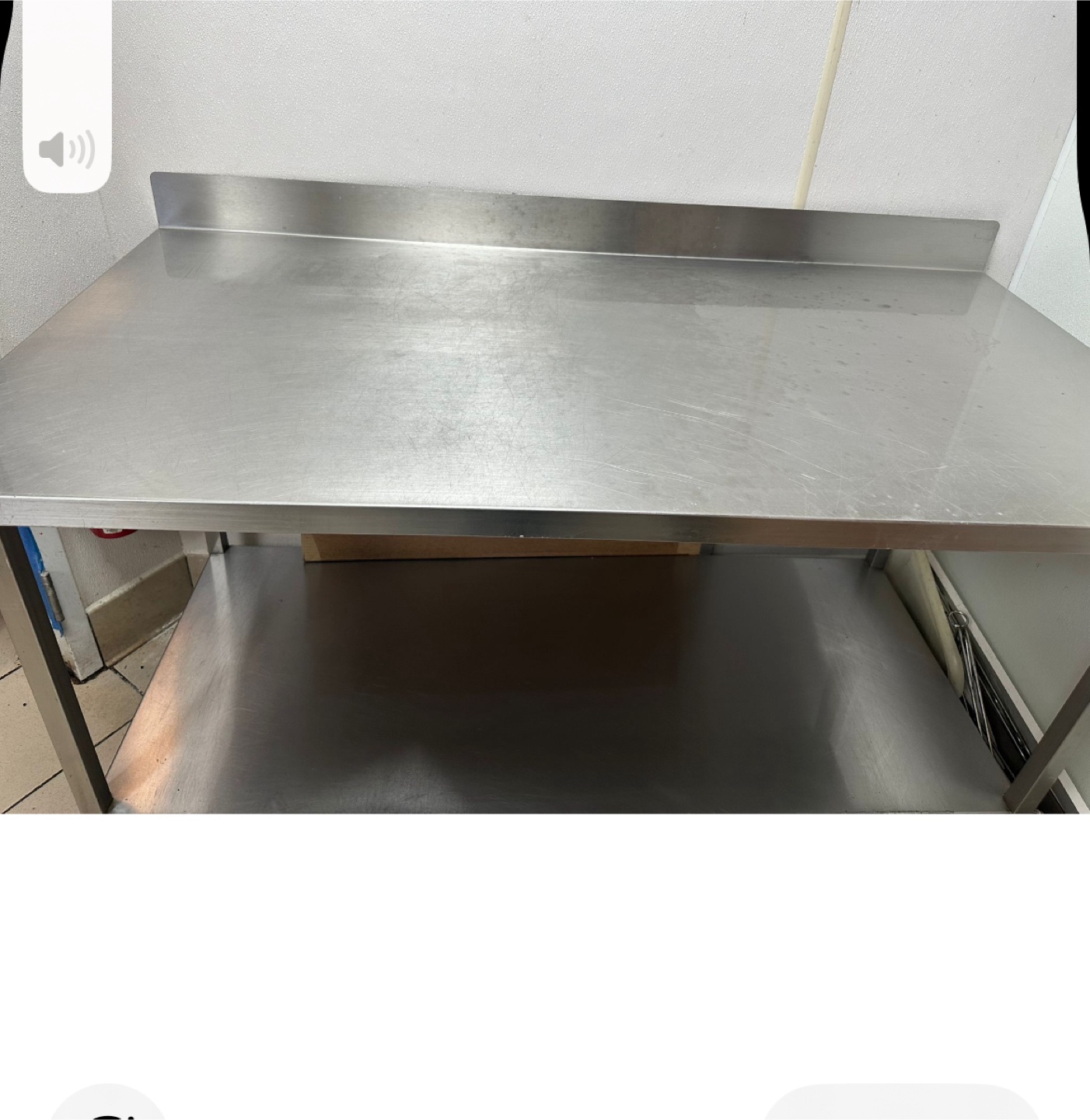 Stainless Steel Work Table with Shelf - photo 3