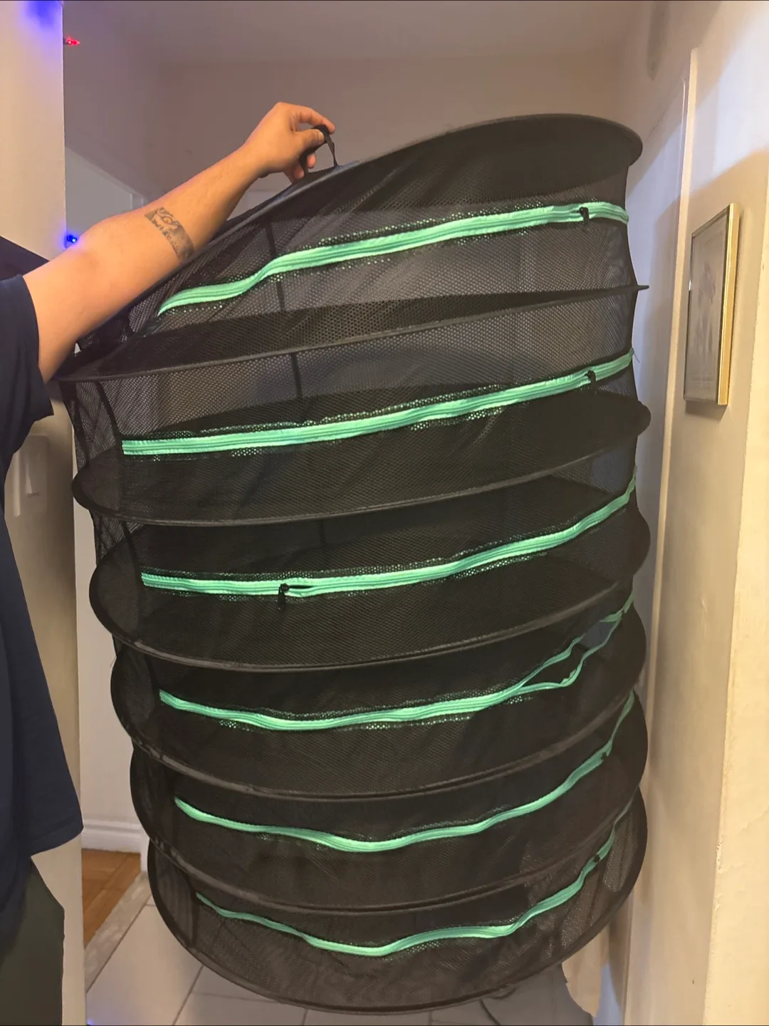 Large 5-Tier Food Dehydrator thumbnail