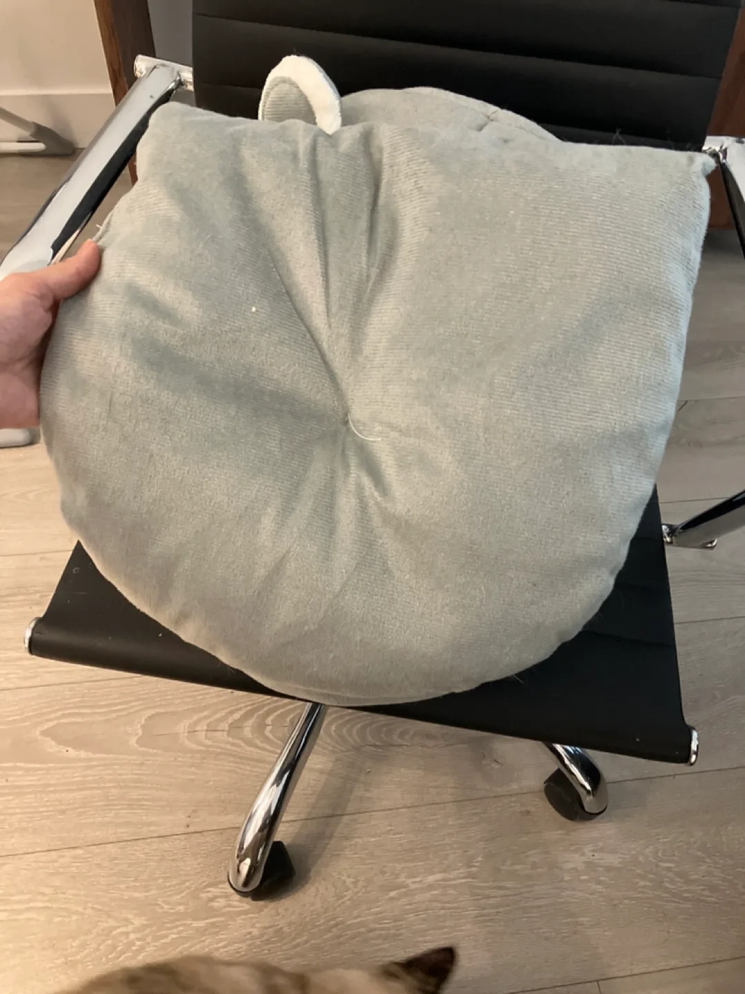 Adorable Grey Cat/Pet Bed Cave 🧡 image indicator(3)