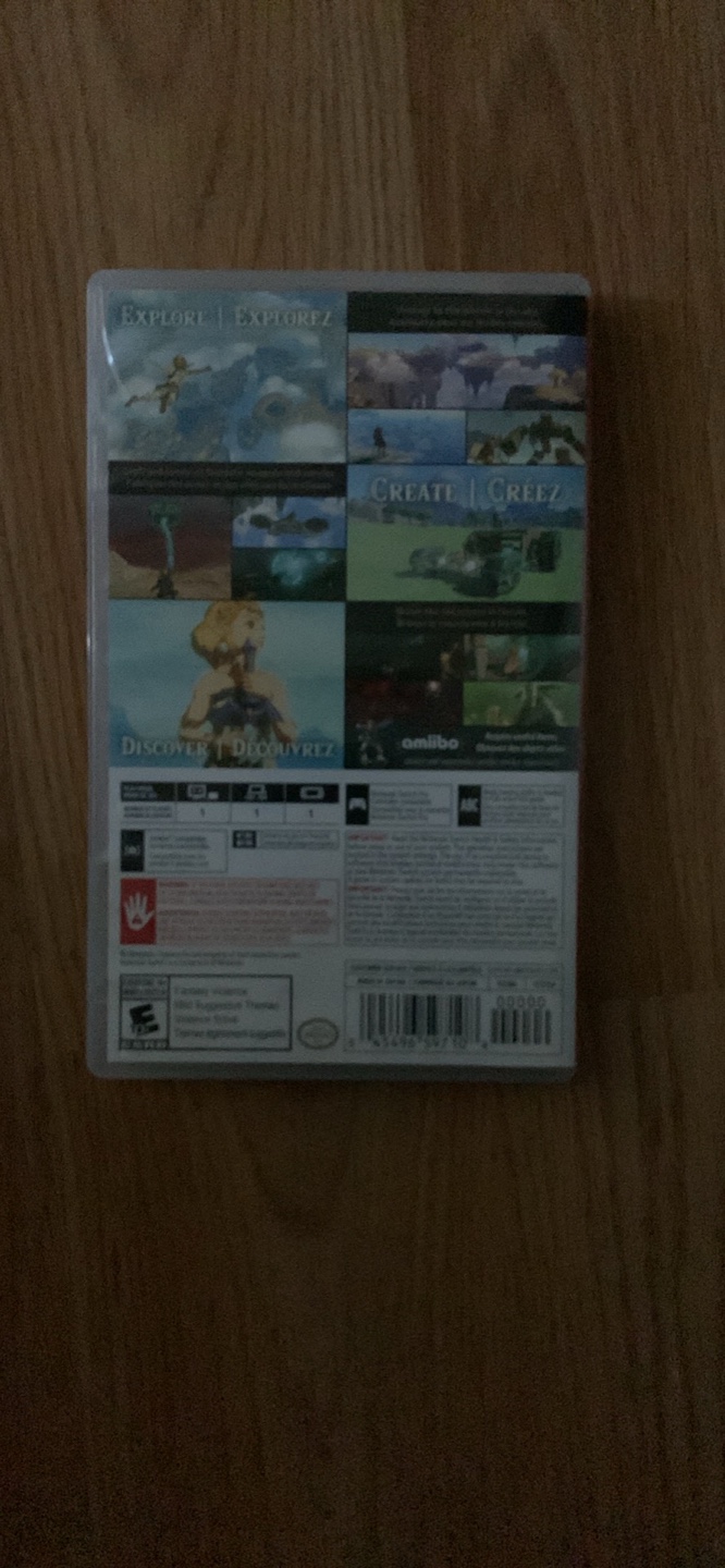 The Legend of Zelda: tears of the Kingdom(text fast) - photo 2