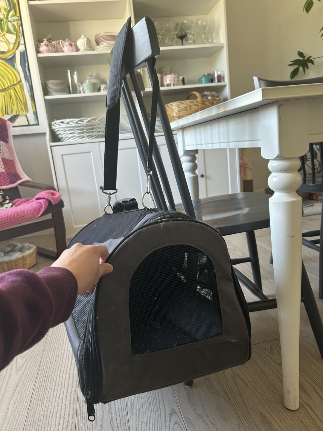Pet Carrier Bag - photo 2