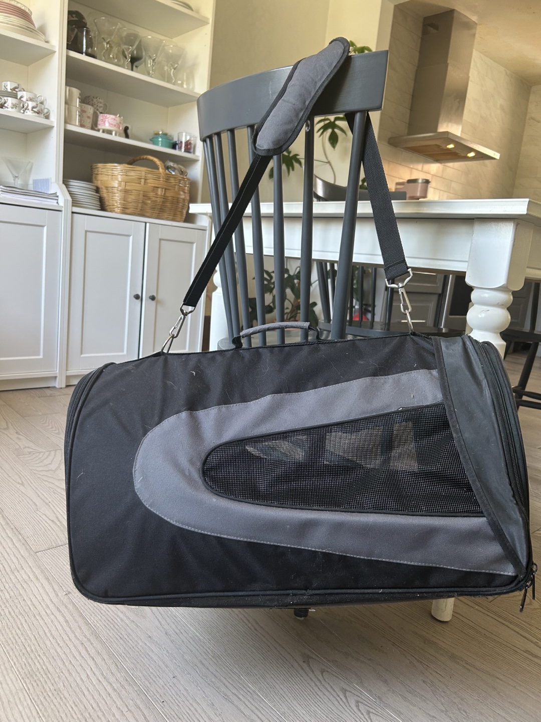 Pet Carrier Bag